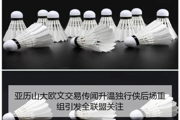 亚历山大欧文交易传闻升温独行侠后场重组引发全联盟关注